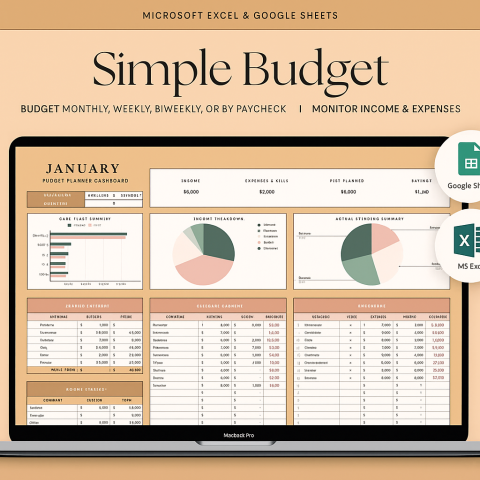 Budget Planner Template  Daily, Monthly, and Yearly Income and Expense Tracker