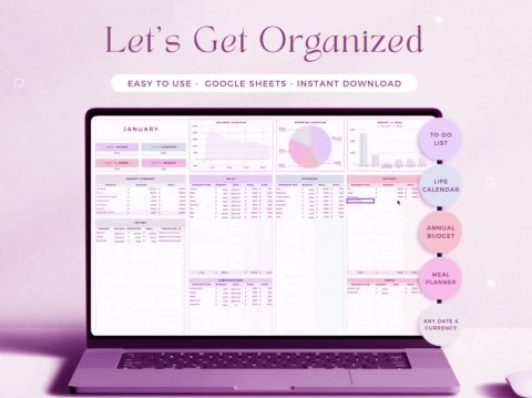 Google Sheets All-in-One Organizer | Budget Planner, To-Do List, Meal Plan & Life Calendar ES06