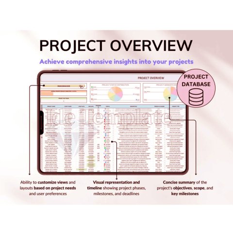 Ultimate Project Management Spreadsheet ES08
