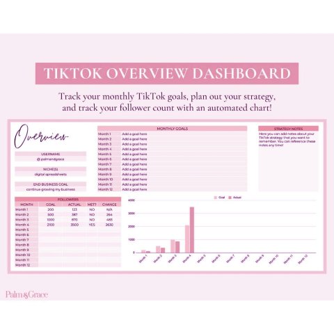 TikTok Analytics Spreadsheet | Monthly Planner & Growth Chart ES10